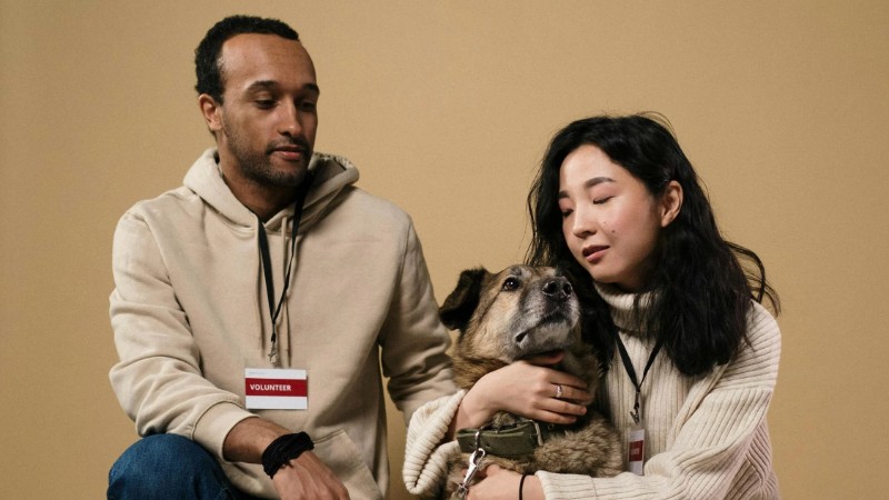 A caring couple of volunteers with a rescue dog in a studio setting., tags: scarborough lokale - pexel