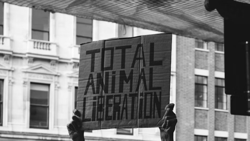 q w, tags: een - unsplash